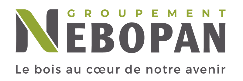 logo_nebopan_2025-png